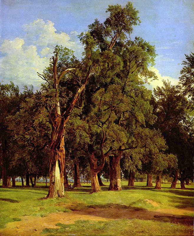 Old Elm in the Prater
